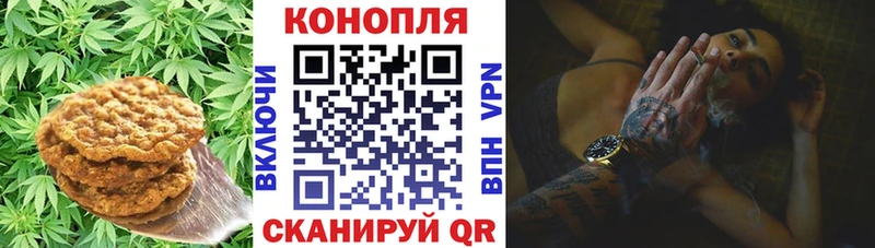 Canna-Cookies марихуана  KRAKEN маркетплейс  Калач-на-Дону  как найти наркотики 