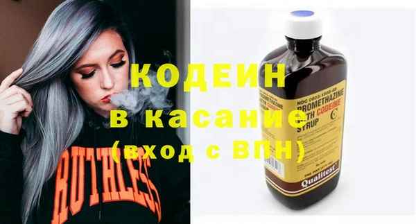 индика Алексин