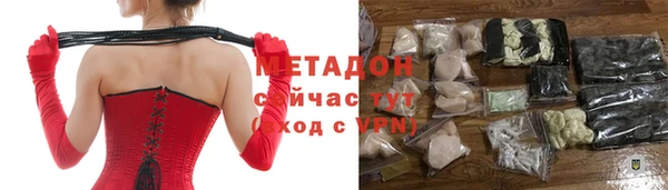 индика Алексин