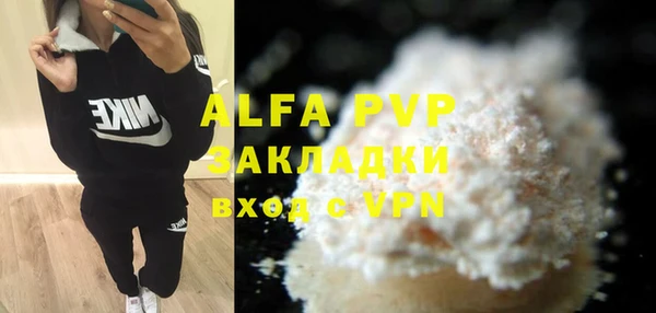 индика Алексин
