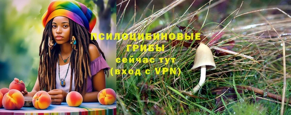индика Алексин