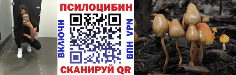 Псилоцибиновые грибы Psilocybine cubensis  Калач-на-Дону 